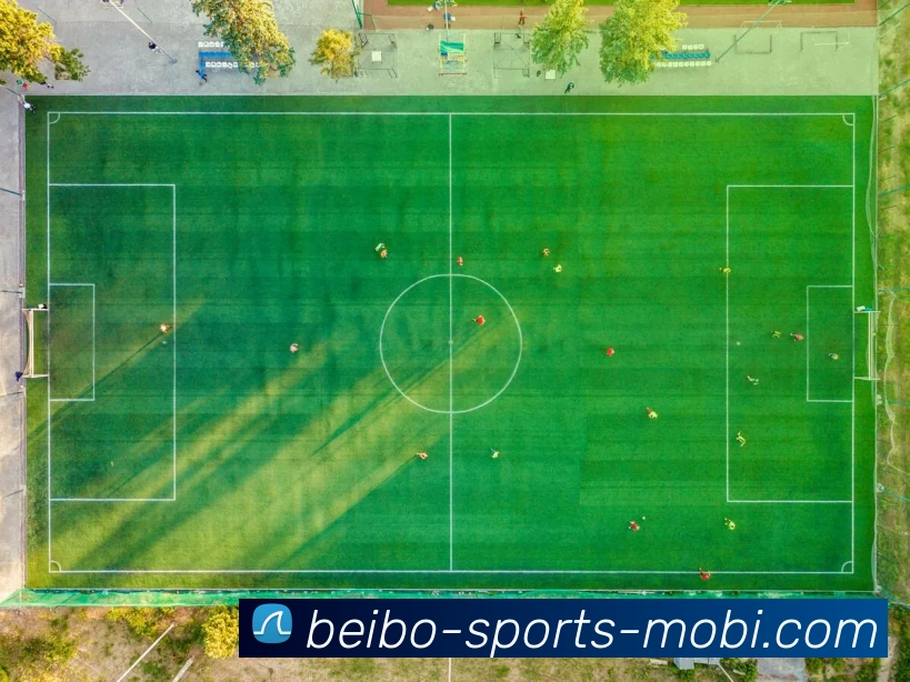 多媒体互动体验