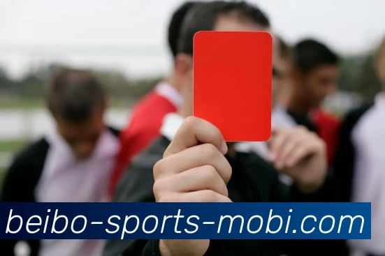 贝博体育APP 高清赛事图